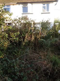 New Garden Fencing and Landscaping in Topsham, Exeter, Devon