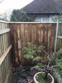 New Garden fencing and garden landscaped in Exeter