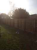 Commercial Fencing in Exeter