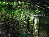 Exeter Fencing in Gardens in and around the Exeter area