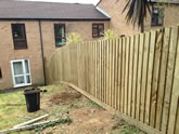 Exeter Fencing in Gardens in and around the Exeter area