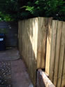 Exeter Fencing in Gardens in and around the Exeter area