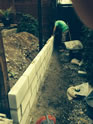Exeter Fencing in Gardens in and around the Exeter area