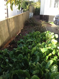 Garden Fencing Project in Exeter © Exeter Garden Fencing