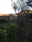 Garden Fencing Project in Exeter  -  Exeter Garden Fencing