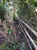 New Garden Fencing and Landscaping in West Hill, Devon