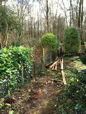 New Garden Fencing and Landscaping in West Hill, Devon