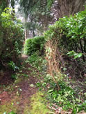 New Garden Fencing and Landscaping in West Hill, Devon