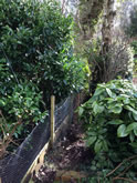 New Garden Fencing and Landscaping in West Hill, Devon