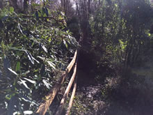 New Garden Fencing and Landscaping in West Hill, Devon