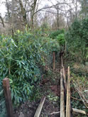 New Garden Fencing and Landscaping in West Hill, Devon