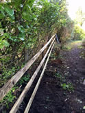 New Garden Fencing and Landscaping in West Hill, Devon